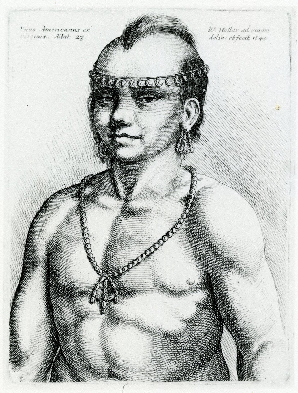 Índio da Virgínia, 1645 de Wenceslaus Hollar