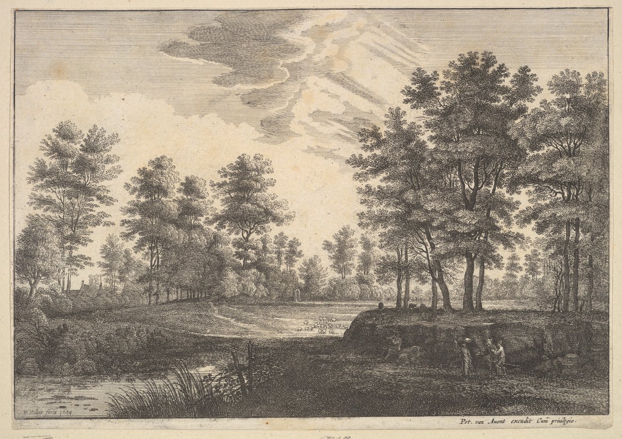 Paisagem arborizada, 1644. de Wenceslaus Hollar