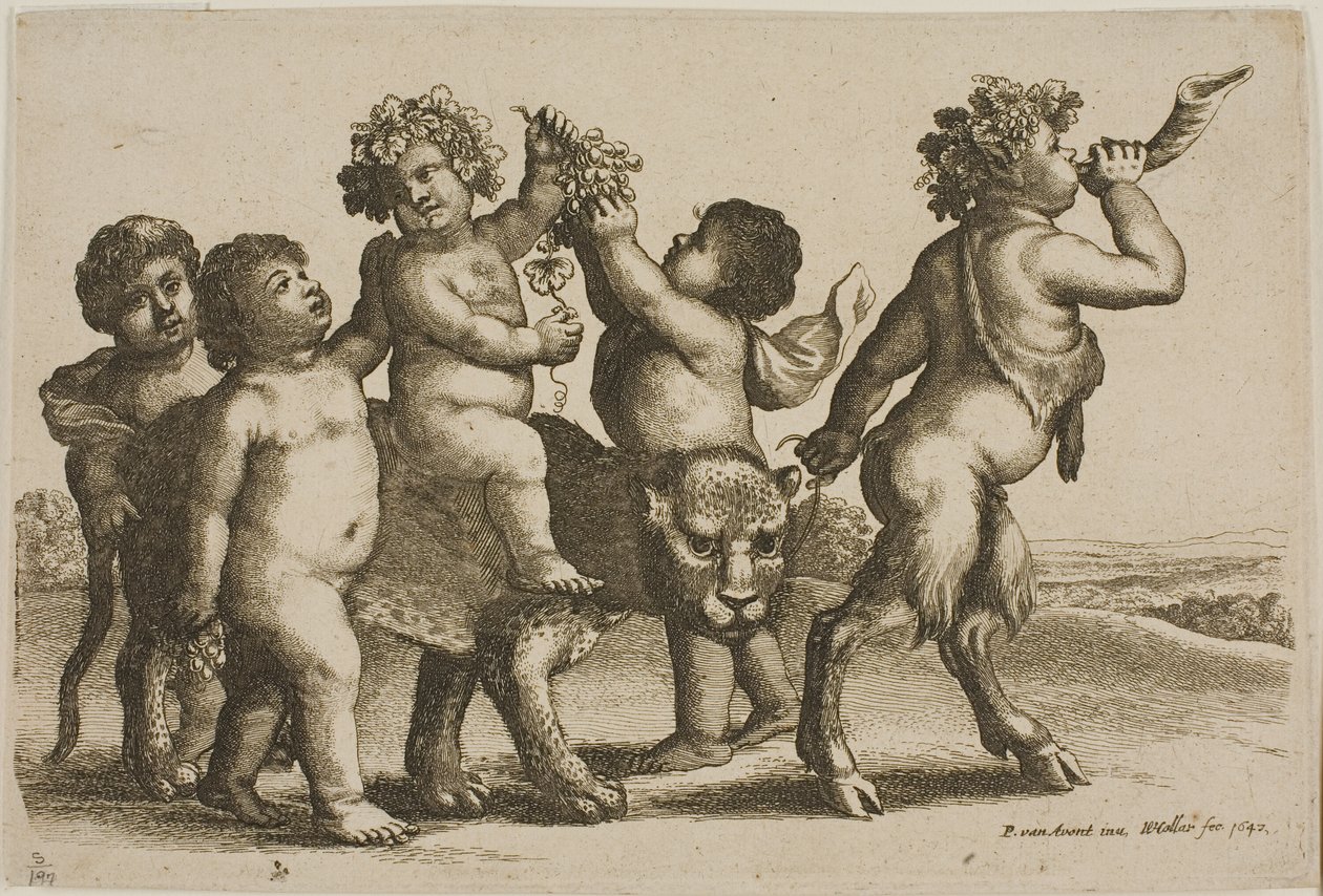 Jovem Baco montando um leopardo liderado por um sátiro soprando um chifre de Wenceslaus Hollar