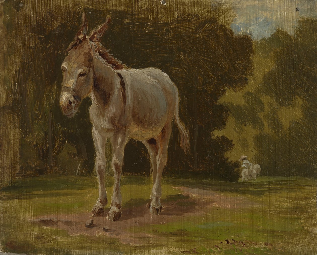Burro de Werner Holmberg