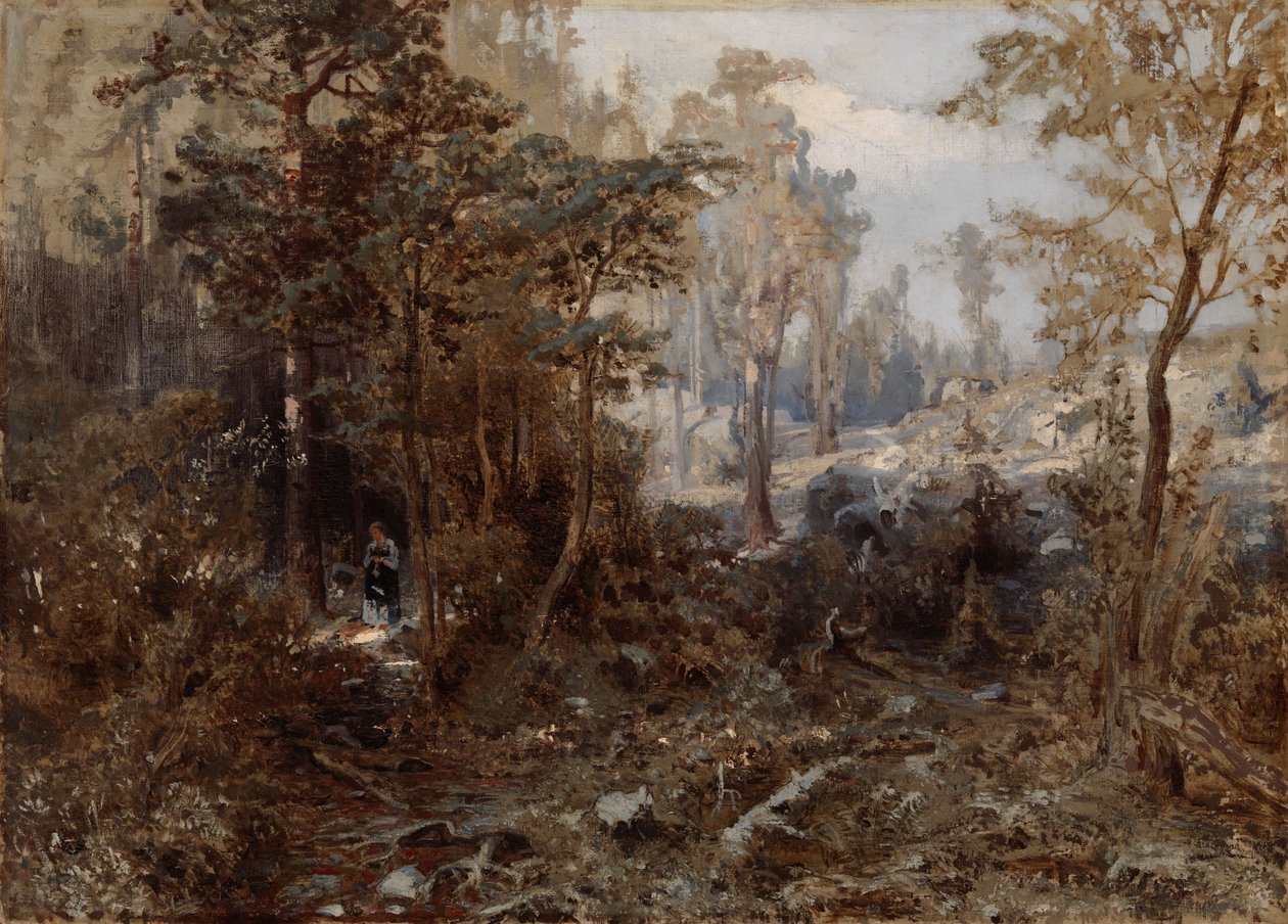 Paisagem florestal perto de Näsijärvi; Inacabado de Werner Holmberg