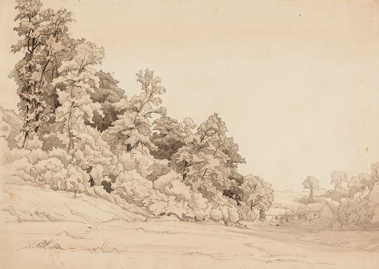 Paisagem, encosta de Werner Holmberg