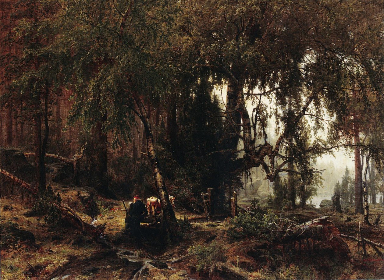 Floresta à chuva de Werner Holmberg
