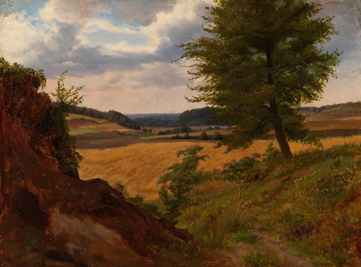 Árvore numa paisagem de campos, estudo de Werner Holmberg