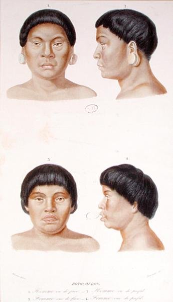 Estudo antropométrico de dois índios Botocudos, gravado por Fournier, em meados do século XIX (cor litho) de Werner Werner
