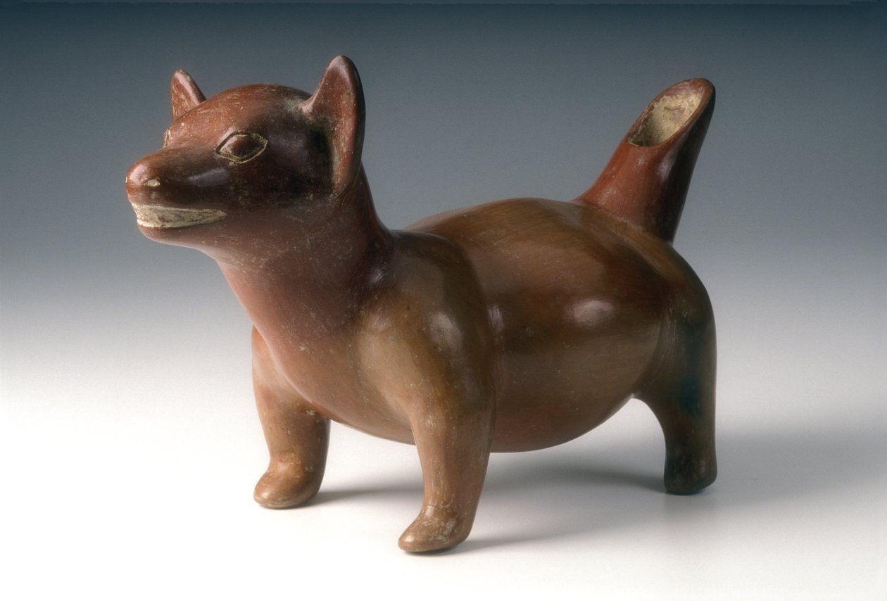 Embarcação de Efígie do Cão, c.200 BCE-300 CE (cerâmica) de West Mexican