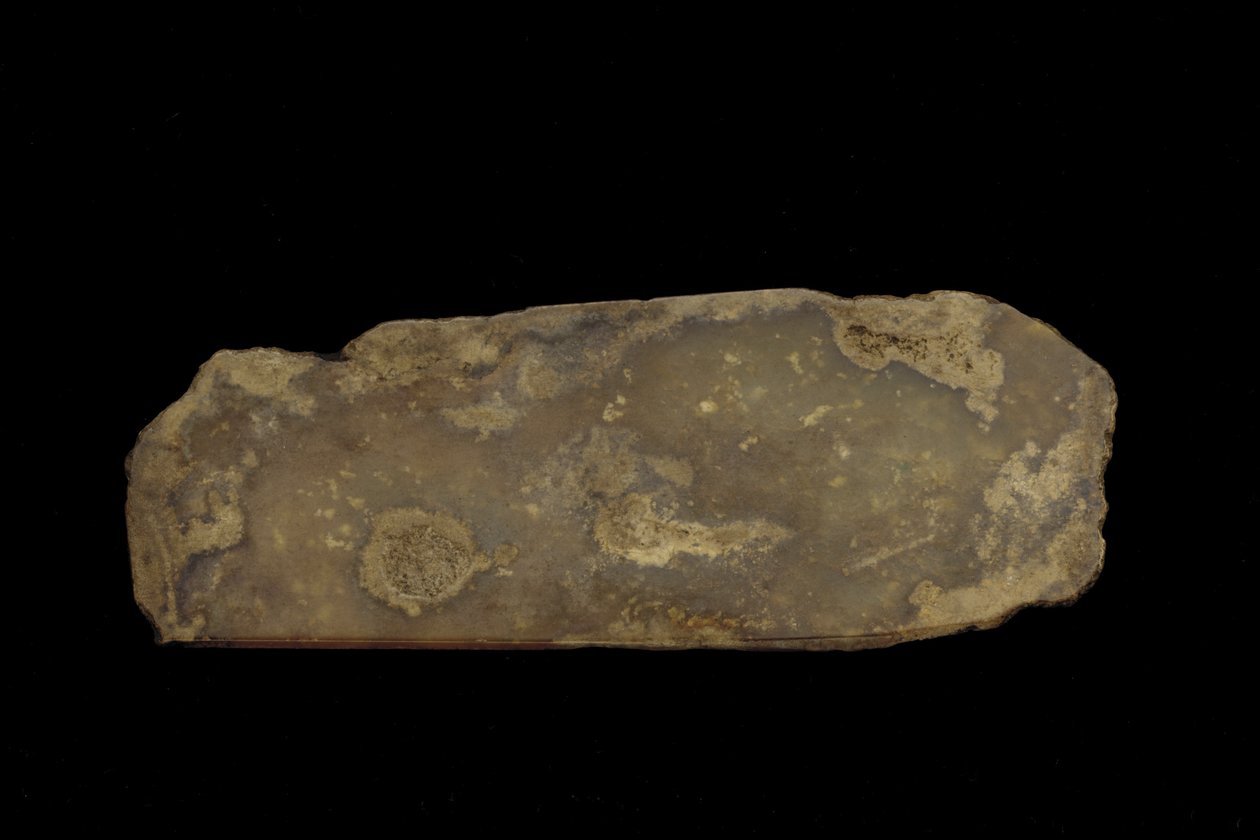 Fragmento de uma arma cerimonial (jade (nefrita)) de Western Zhou Dynasty Chinese School