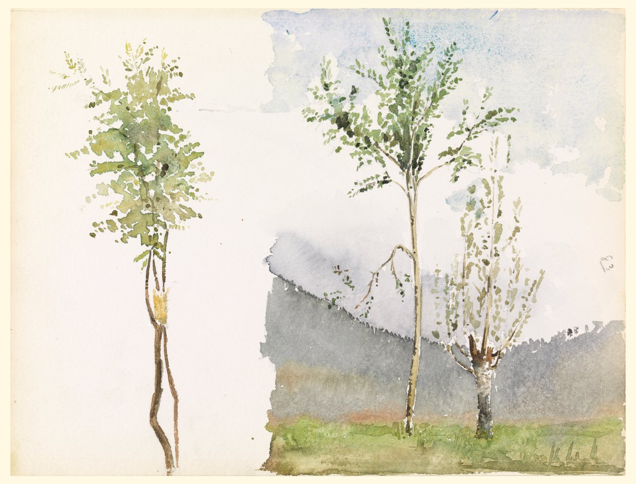 Esboços de paisagem de Whitney Warren Jr.
