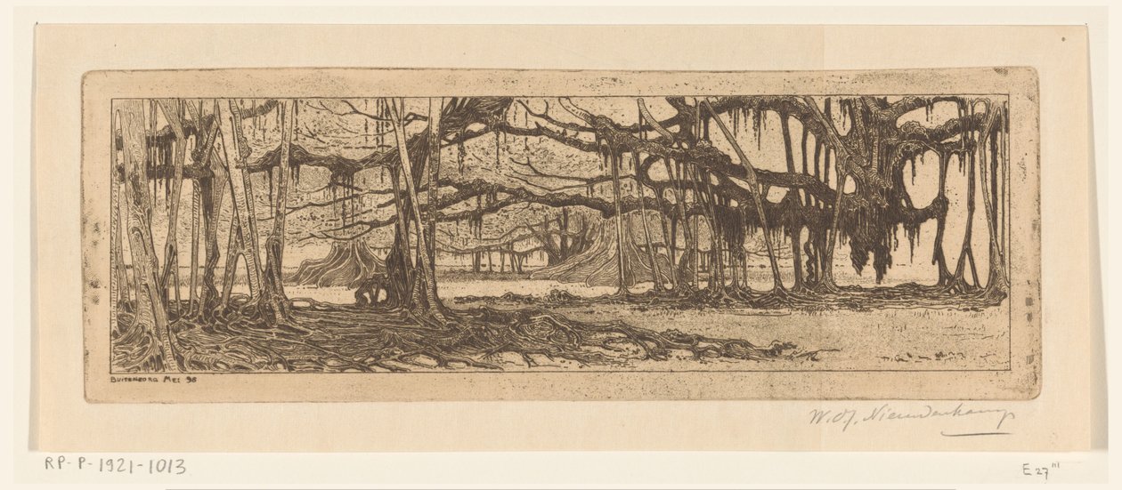 Árvores Waringin em um jardim em Buitenzorg No jardim de Buitenzorg (título original) de Wijnand Otto Jan Nieuwenkamp (signed by artist)