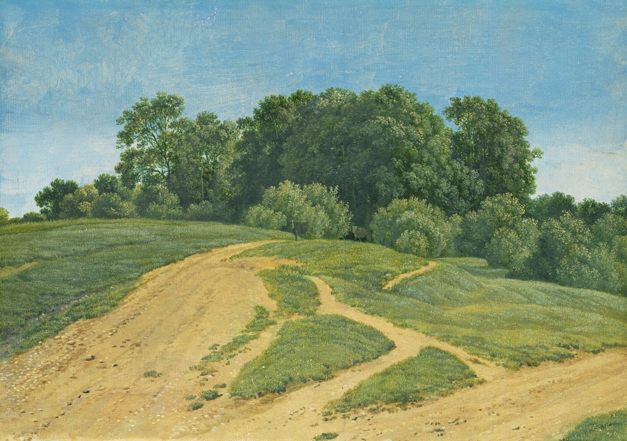 Uma trilha nos campos, c.1821 de Wilhelm Alexander Kobell