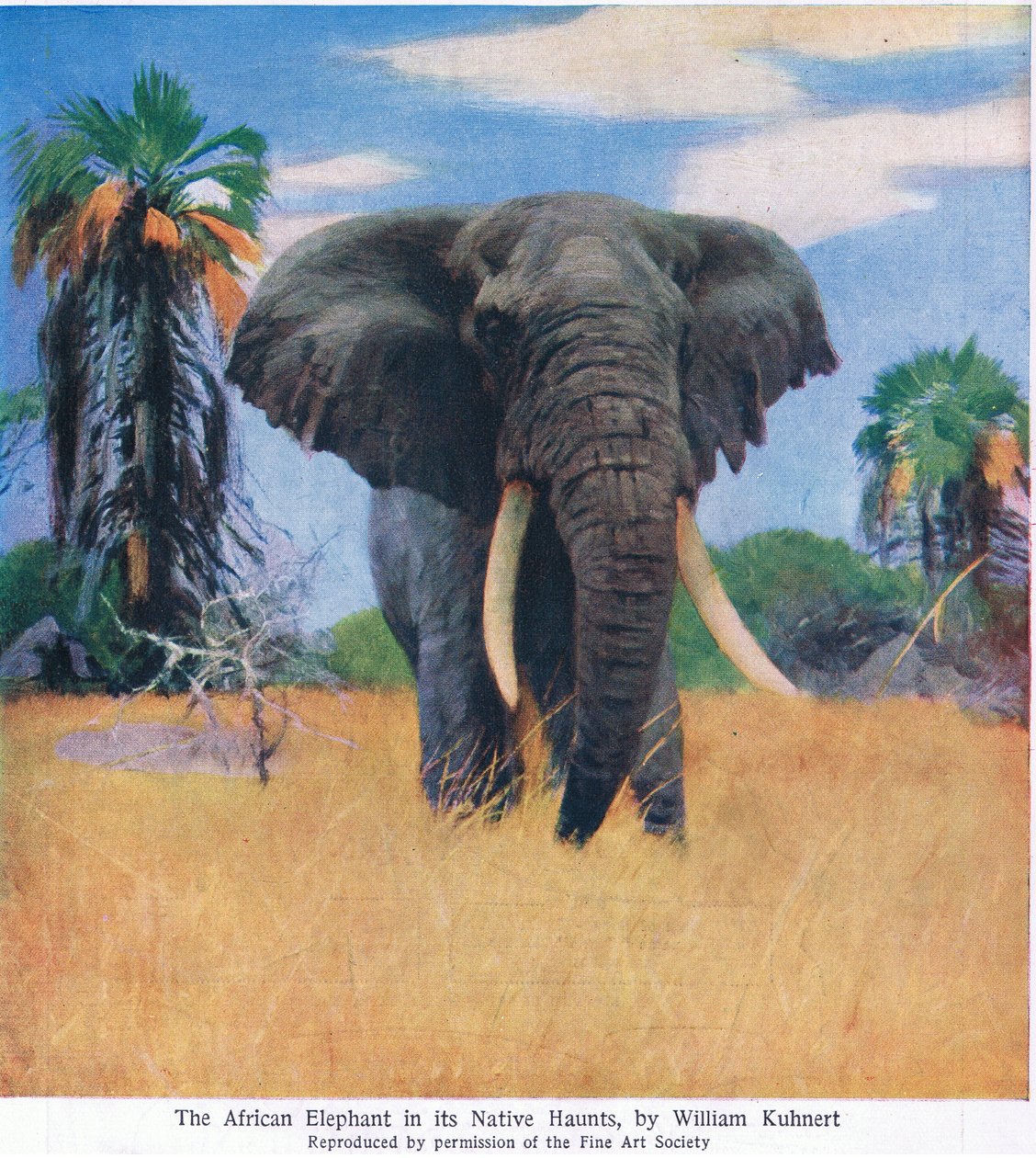 Elefante africano em seus assombra nativos de Wilhelm Kuhnert