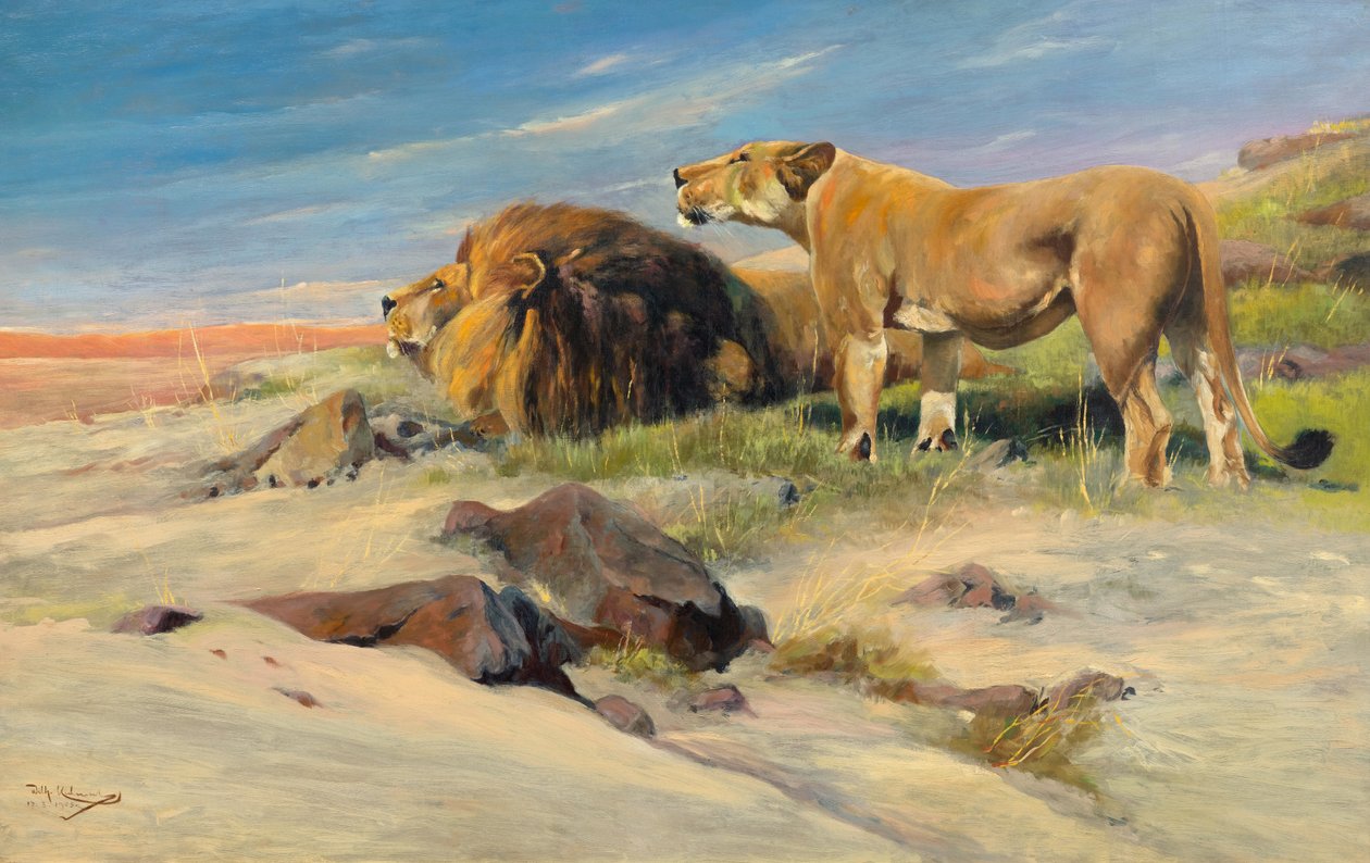 Casal de leões no estepe de Wilhelm Kuhnert