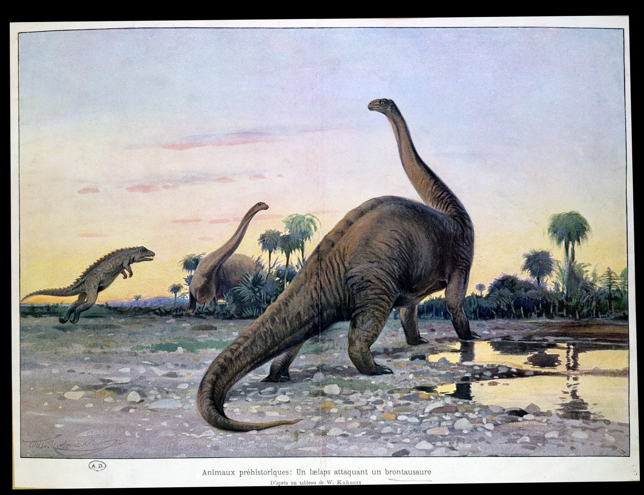 Animais pré-históricos: um Laelaps atacando um brontossauro de Wilhelm Kuhnert