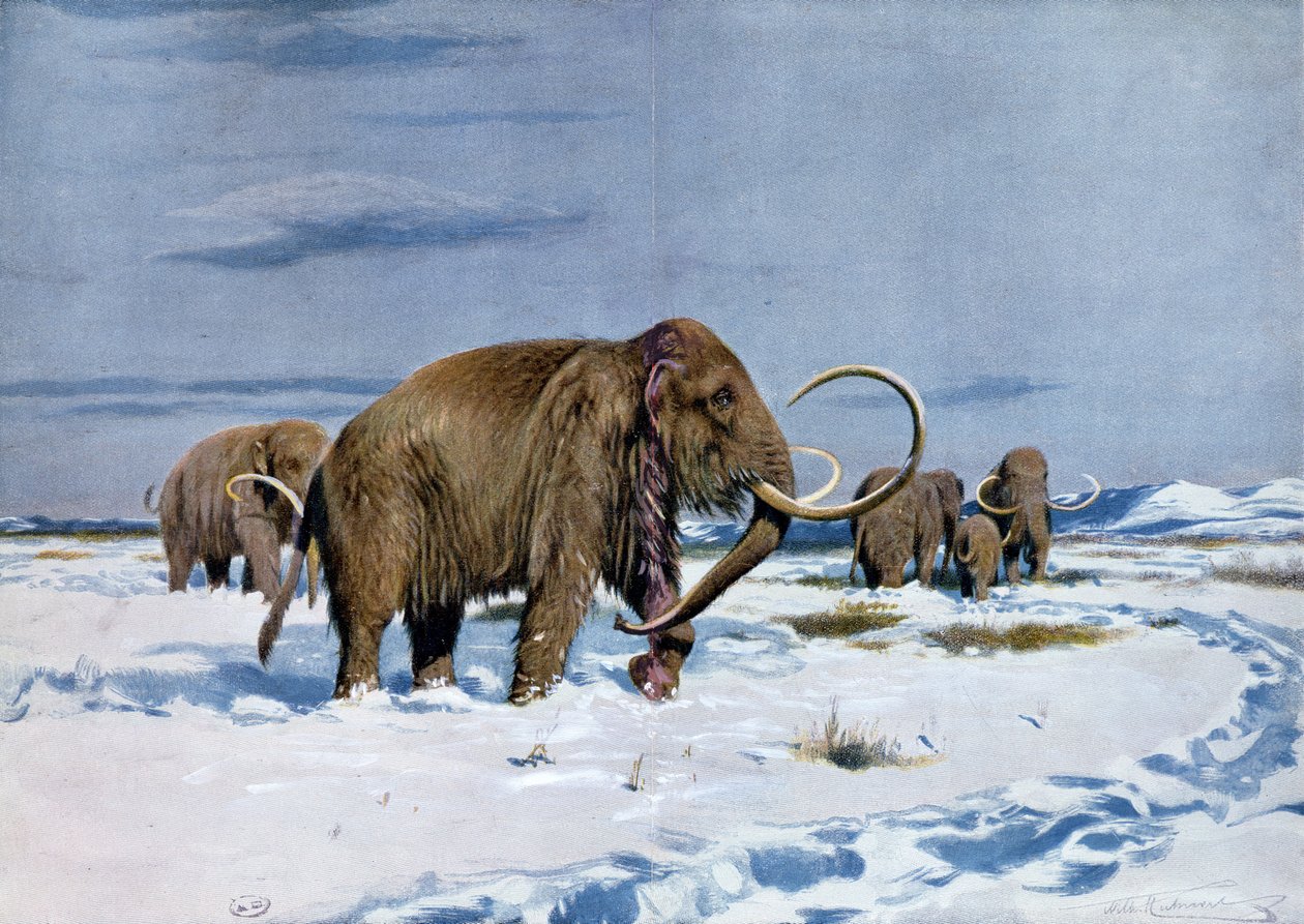 Tropa de mamutes na Idade do Gelo de Wilhelm Kuhnert