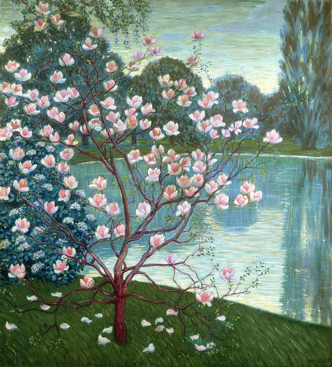 Magnólia de Wilhelm List
