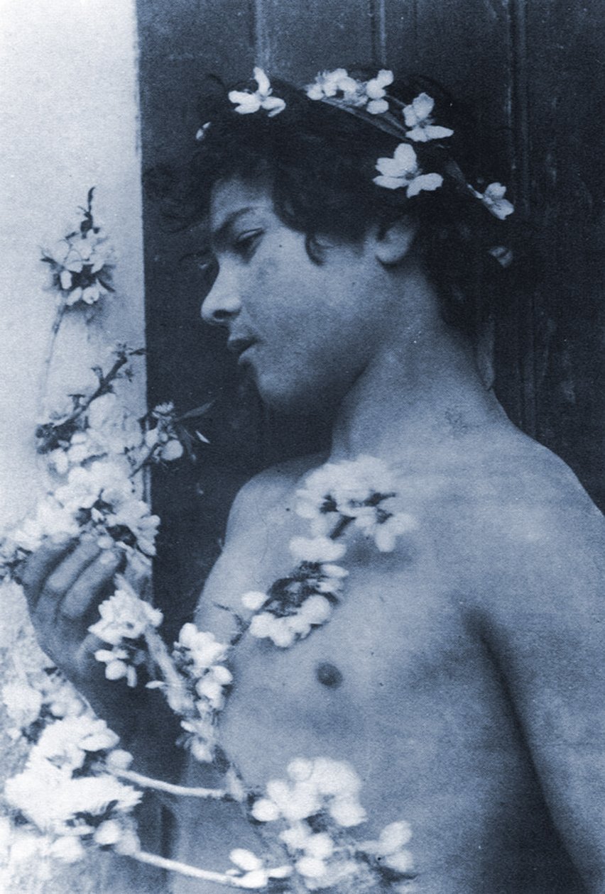 Estudo de um menino com flores no cabelo, c.1899 (cianotipo) de Baron Wilhelm von Gloeden
