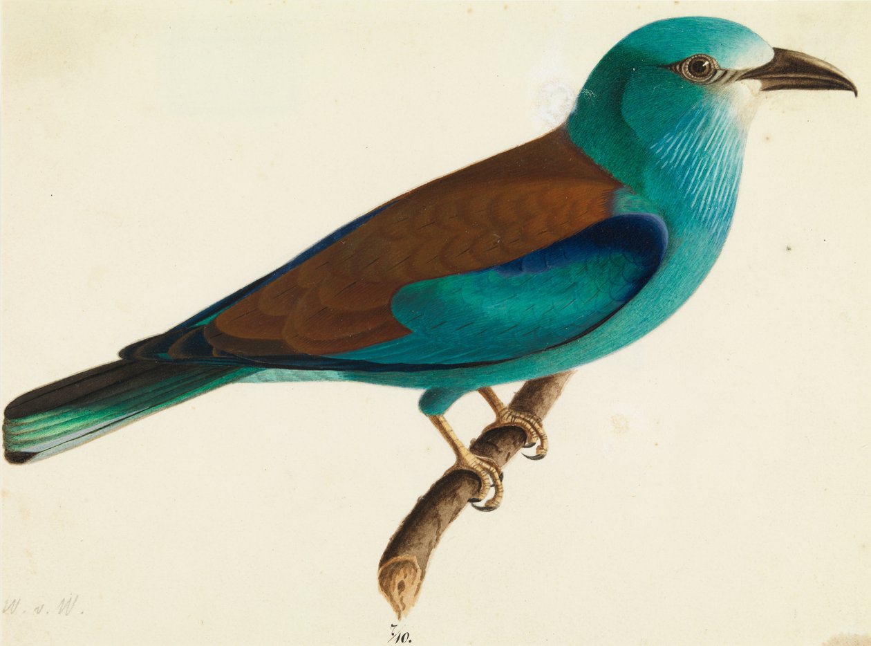 O rolo europeu de Wilhelm von Wright