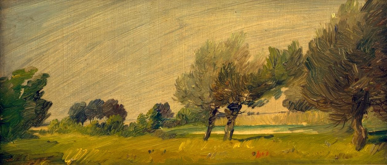 Paisagem verde verão - pastos à beira da lagoa de Wilhelm Busch