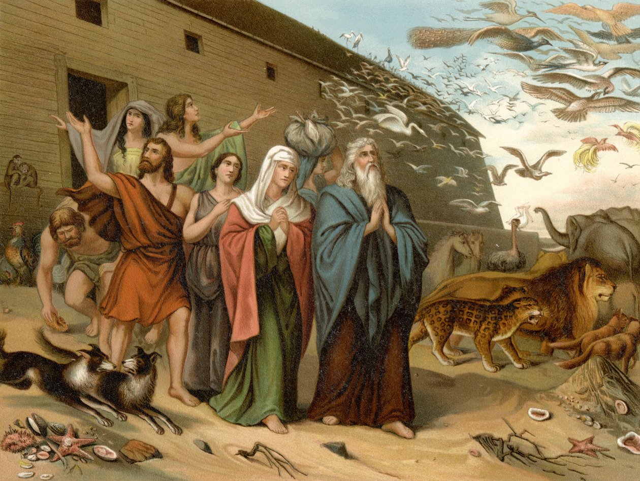 Saindo da Arca (cor litho) de Wilhelm Ebbinghaus