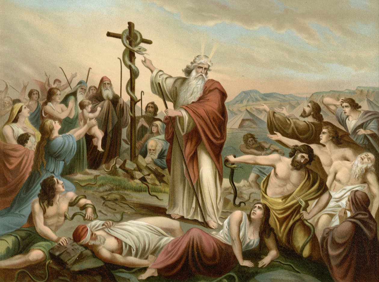 Elevação da serpente descarada (cor litho) de Wilhelm Ebbinghaus