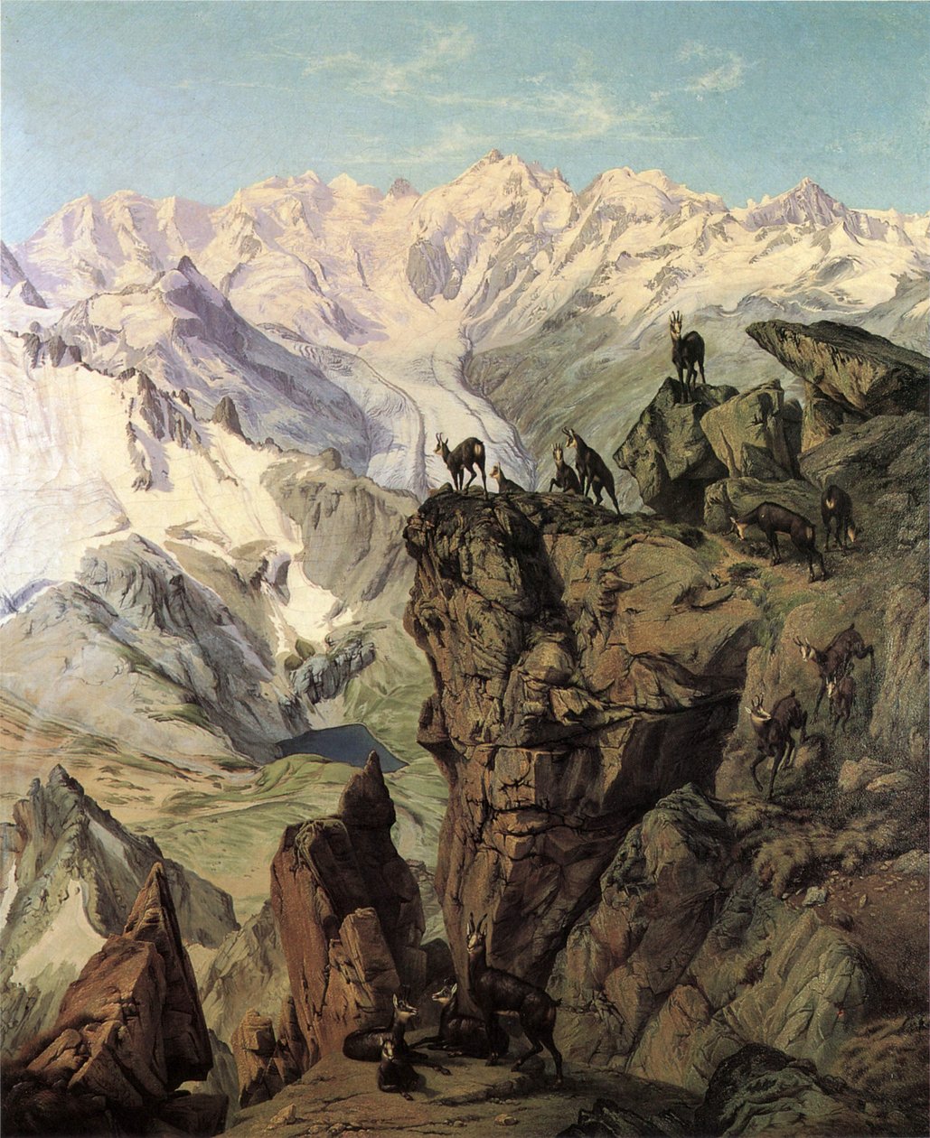 Grupo Georgy Bernina com camurça de Wilhelm Georgy