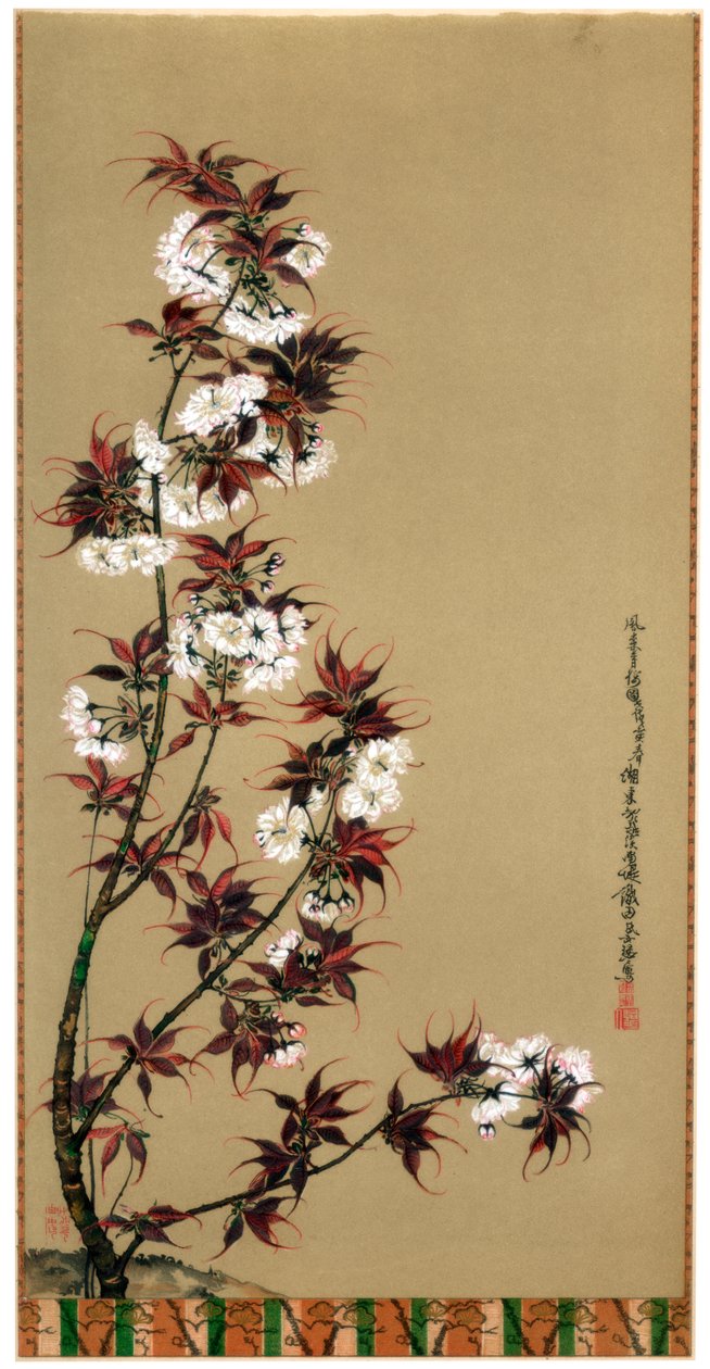 As flores de cerejeira de Mikawa, século XIX 1886 de Wilhelm Greve