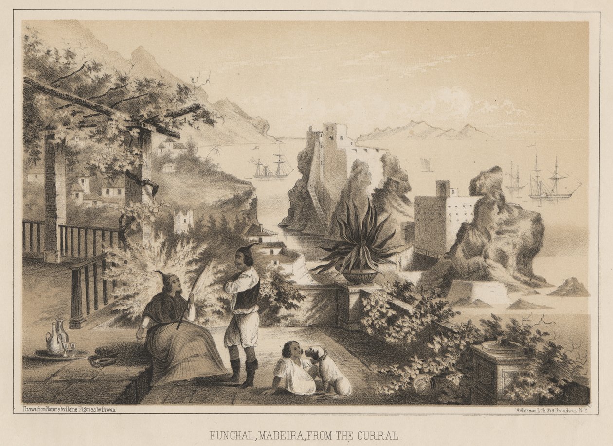 Funchal, Madeira, from the Curral, 1885  de Wilhelm Joseph Heine