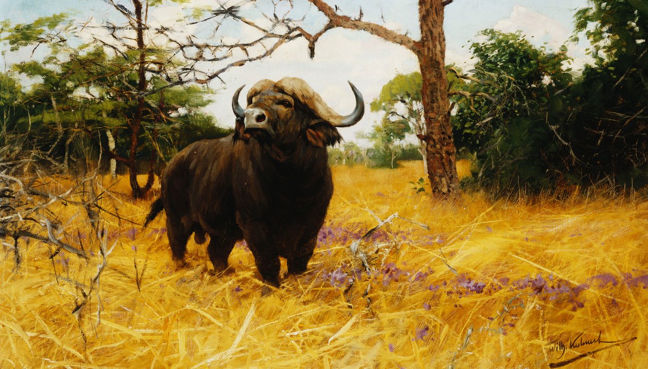 Um búfalo Kaffir em Prairie Grass, de Wilhelm Kuhnert