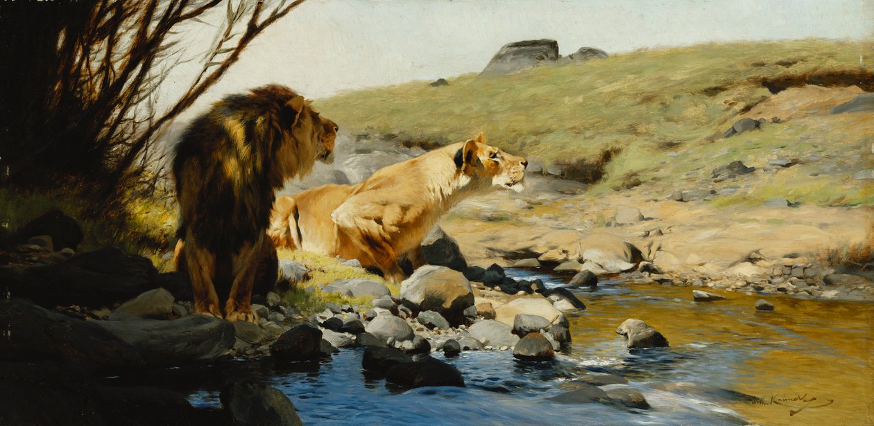 Um leão e leoa em um riacho, de Wilhelm Kuhnert