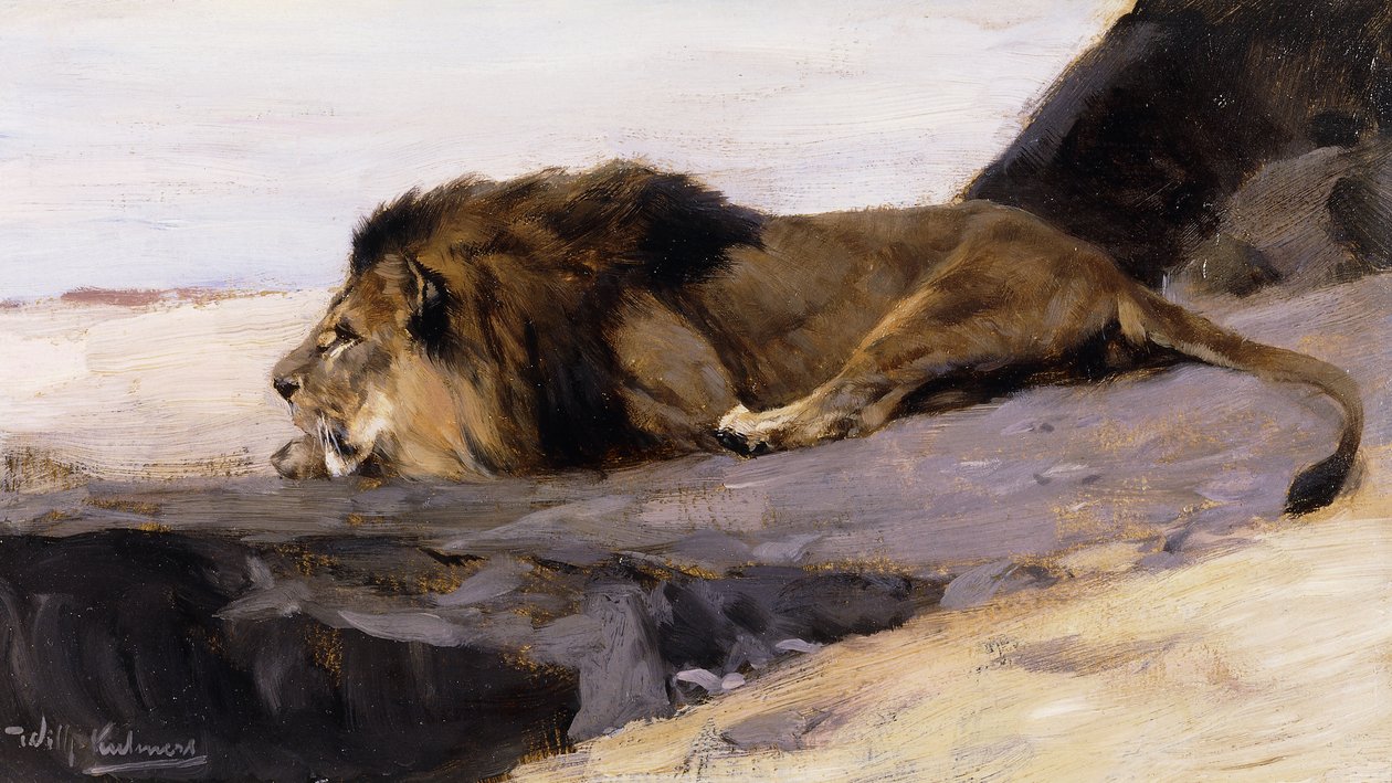 Um leão em repouso; Lowe descansando, de Wilhelm Kuhnert