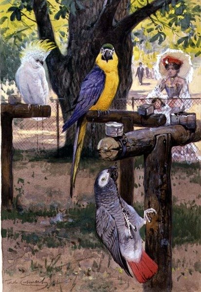 No Zoológico de Wilhelm Kuhnert