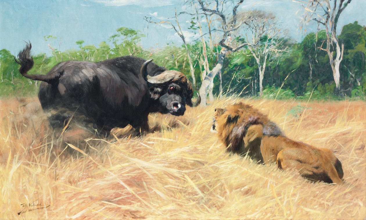 Búfalo e Leão antes da luta, de Wilhelm Kuhnert