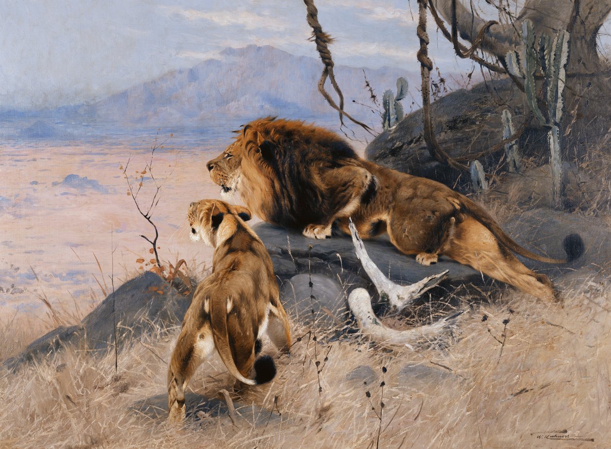 Leão e Leoa; Lowe und Lowin, de Wilhelm Kuhnert