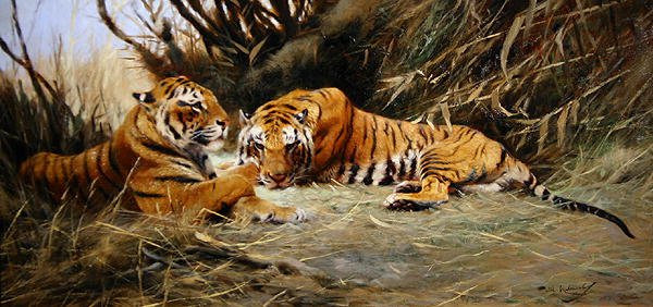Tigres Siberianos de Wilhelm Kuhnert