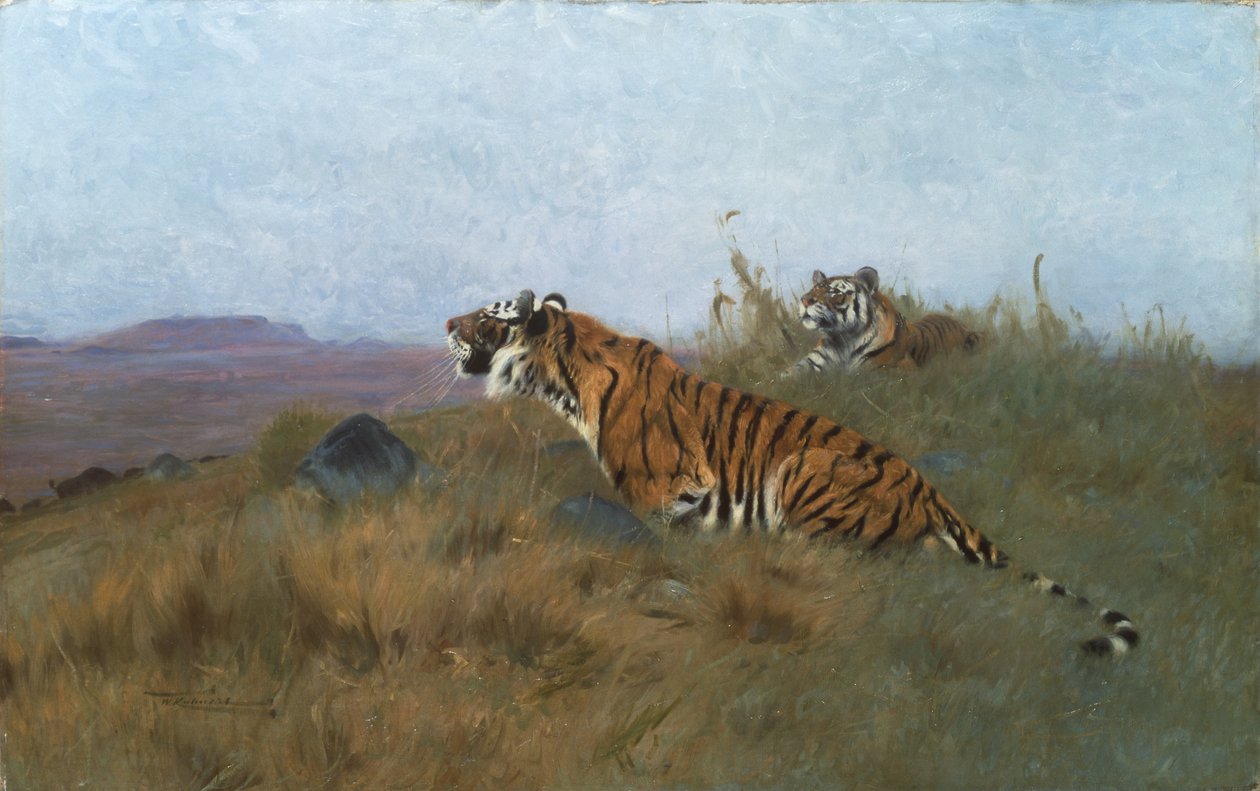 Tigres a perseguir a sua presa (pintura) de Wilhelm Kuhnert