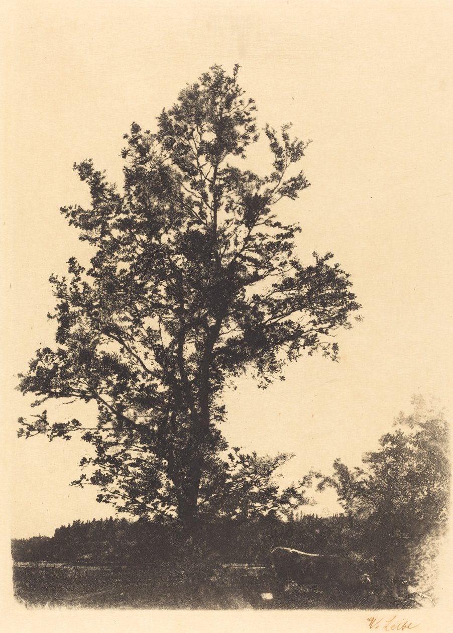 A grande árvore de Wilhelm Maria Hubertus Leibl