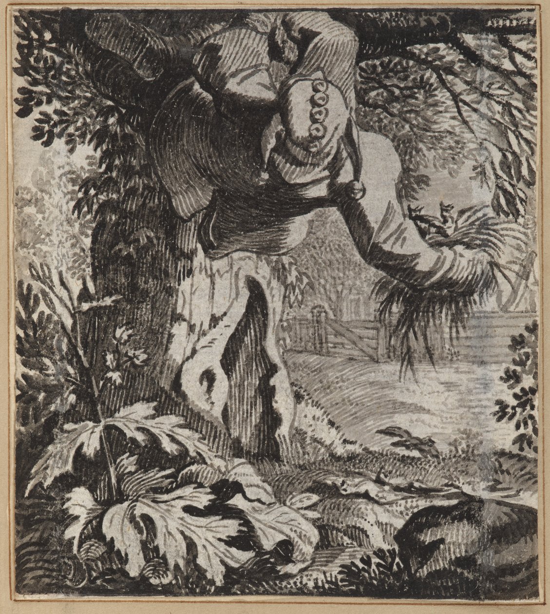 O tolo audacioso de Wilhelm Stettler