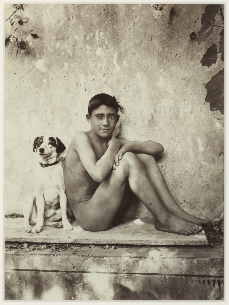 Boy and His Dog, Taormina, Itália, c.1900 (impressão de albumina) de Baron Wilhelm von Gloeden