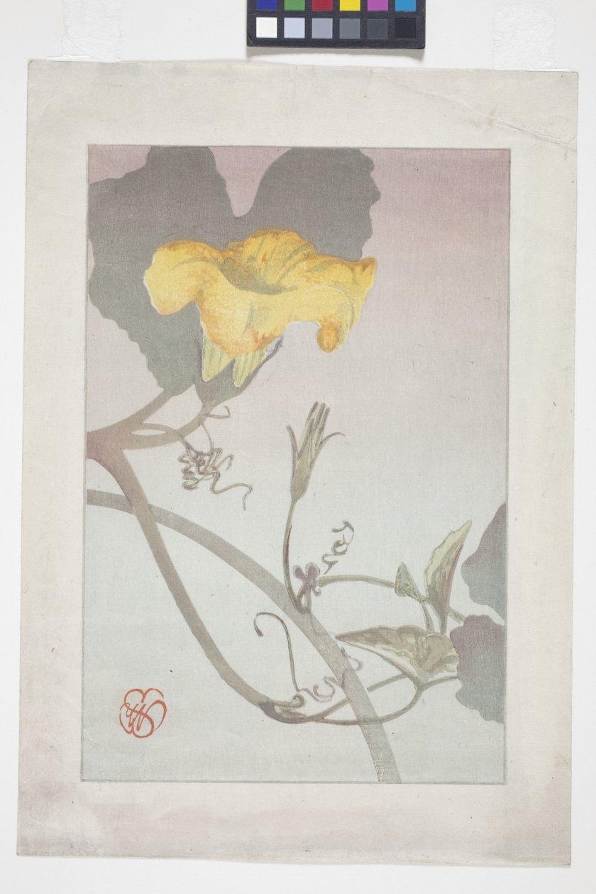 Estudo das flores de Wilhelmina Seegmiller