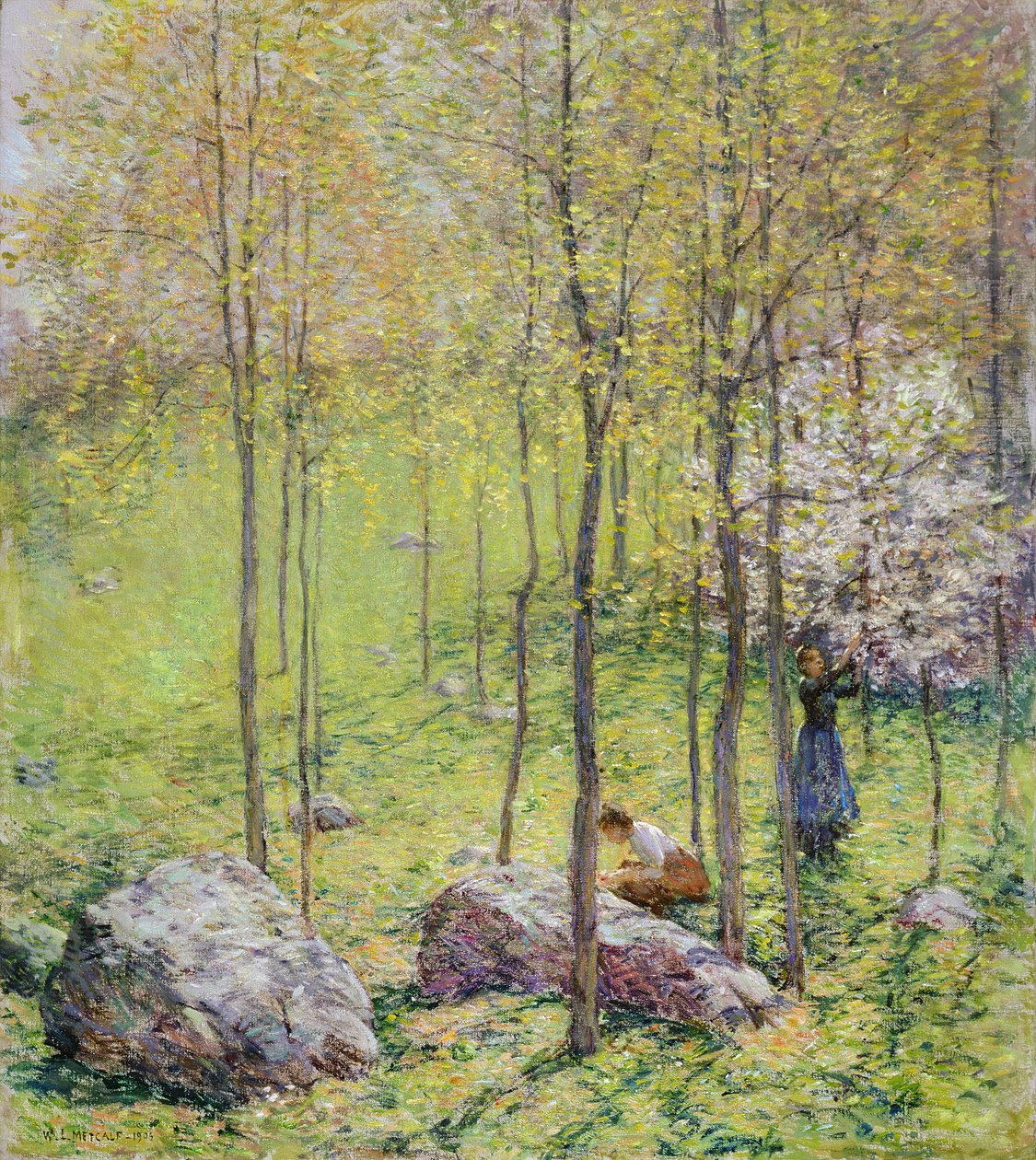 Dogwood Blossoms, 1906 de Willard Leroy Metcalf