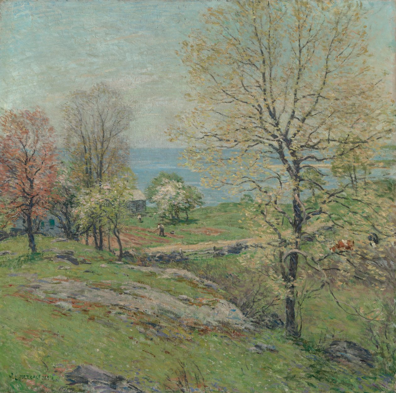 The Budding Oak, 1916. de Willard Leroy Metcalf