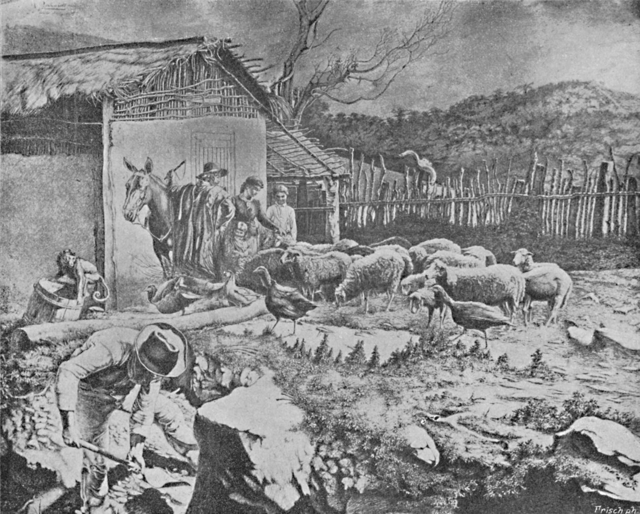 "Sitio", 1895. de Wille Reichardt
