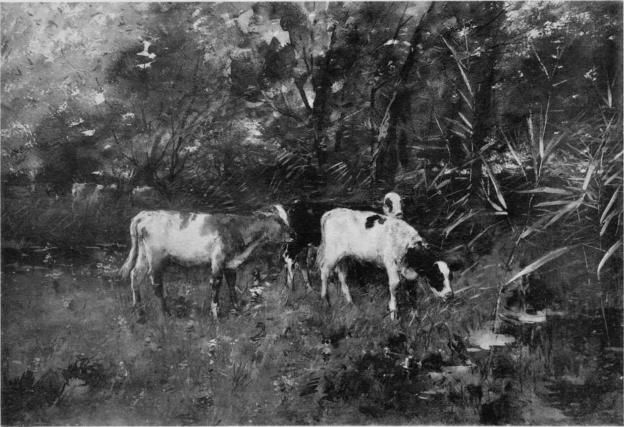 Vacas de Willem Maris