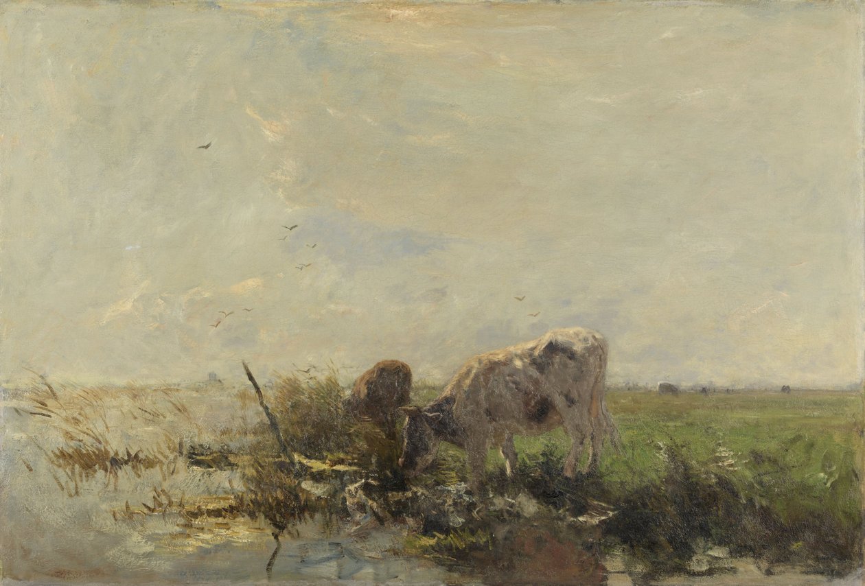 Vacas em uma poça de Willem Maris