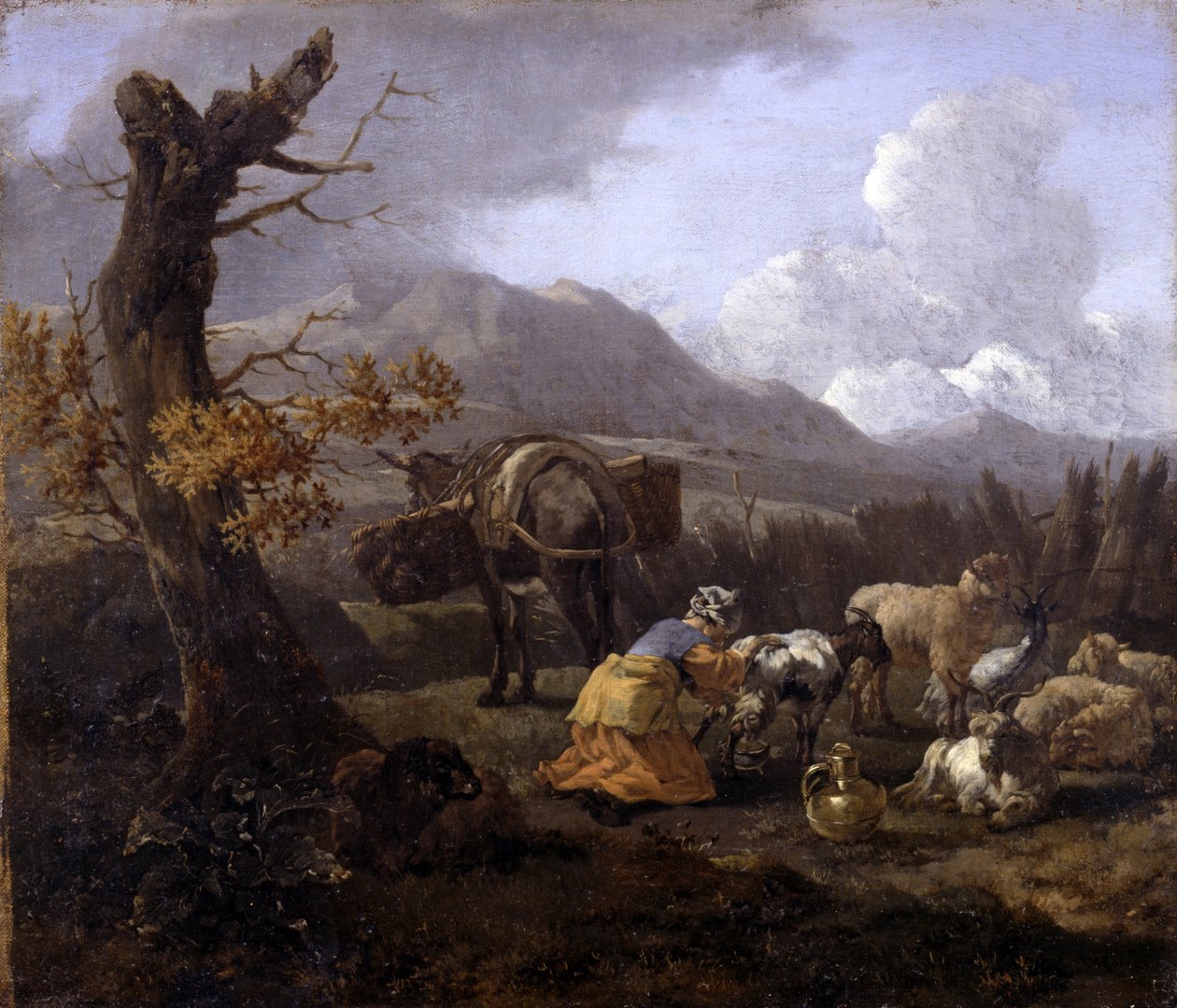 Panorama de Willem Romeyn