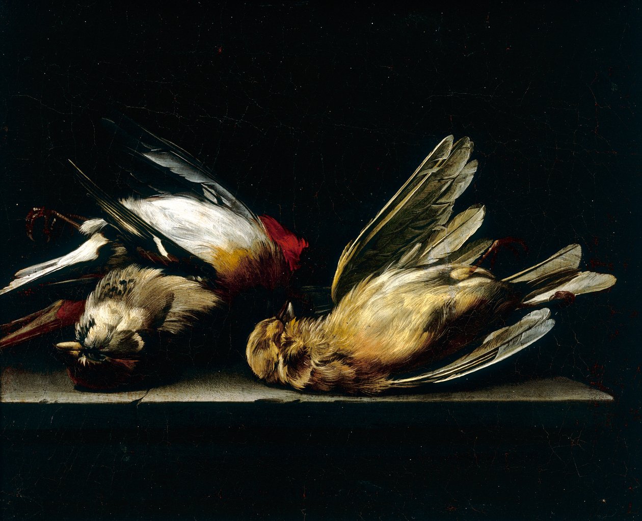 Passarinhos mortos de Willem van Aelst