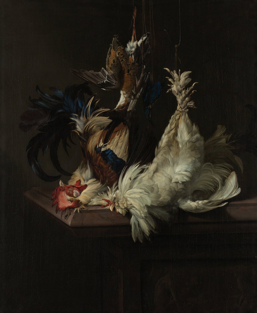 Ainda vida com aves de capoeira de Willem van Aelst