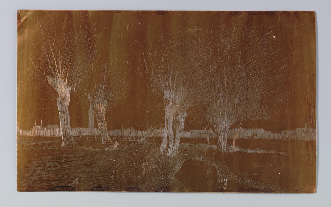 Salgueiros na vala perto do Binckhorstlaan em Haia de Willem Adrianus Grondhout (signed by artist)