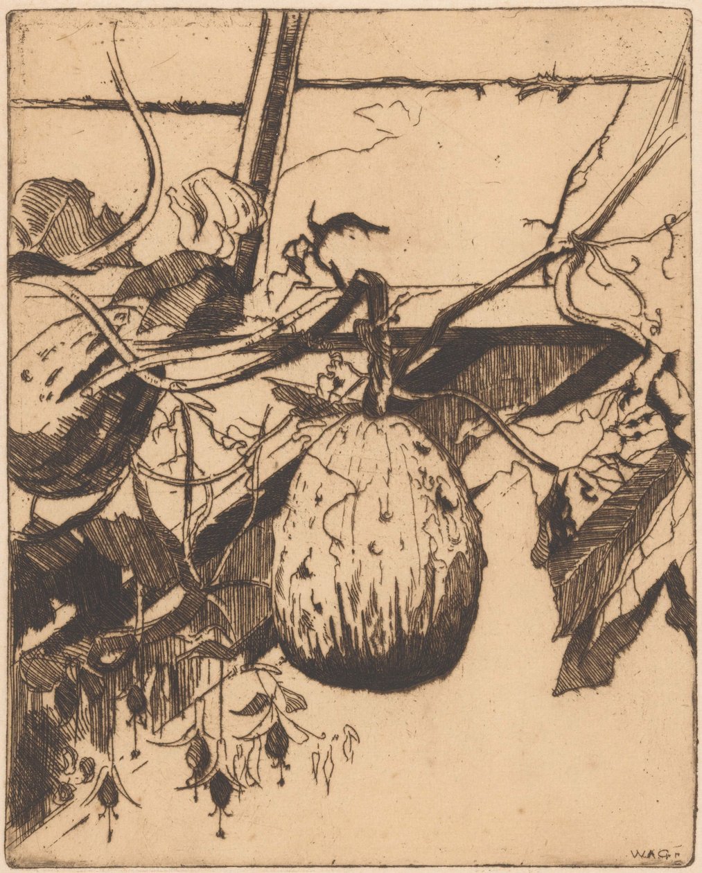 Calabashes e fúcsia de Willem Adrianus Grondhout