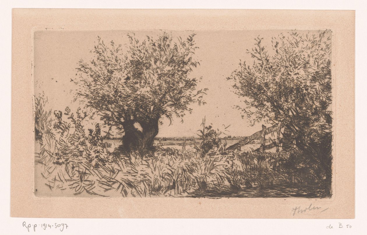 Paisagem com prado, salgueiros e cerca Salgueiros (Kaag) (título original) de Willem Bastiaan Tholen (signed by artist)